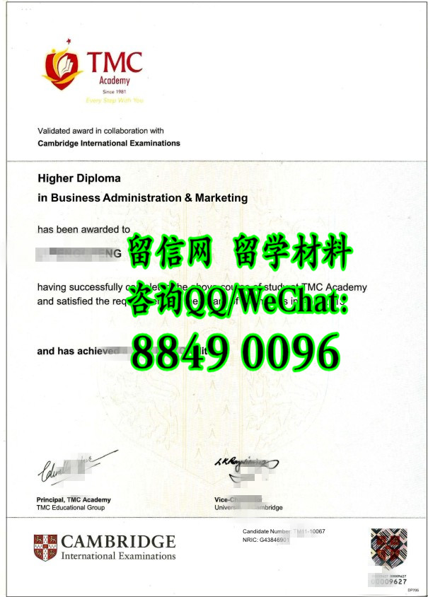 新加坡TMC学院高级文凭毕业证，TMC Academy diploma