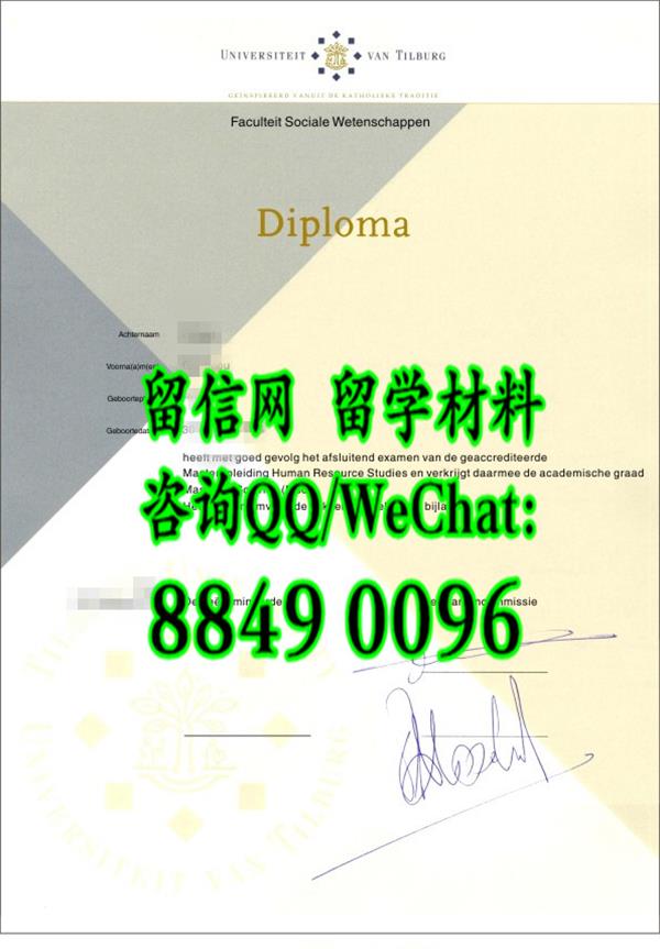 荷兰蒂尔堡大学毕业证图片，Tilburg University diploma degree