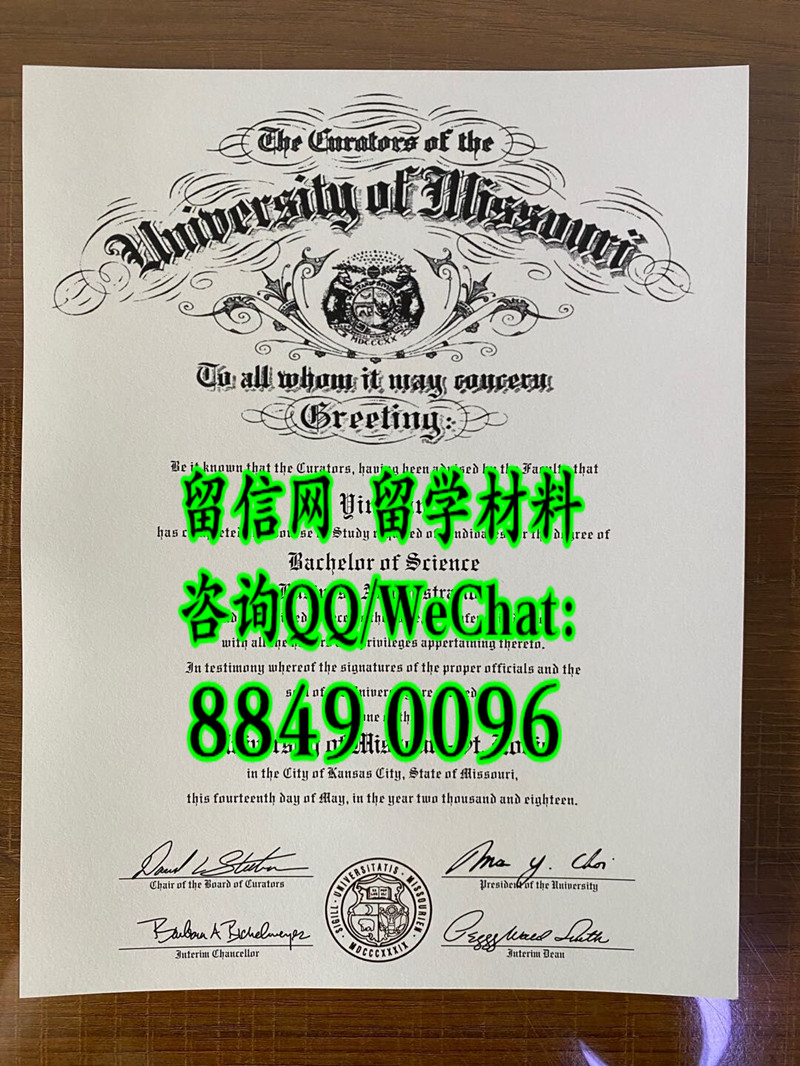 美国密苏里大学圣路易斯分校毕业证案例，University of Missouri St Louis degree