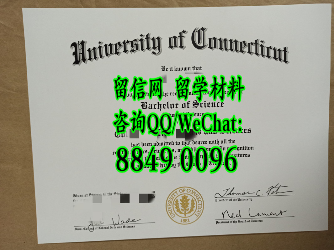 美国康涅狄格大学毕业证案例，University of Connecticut diploma