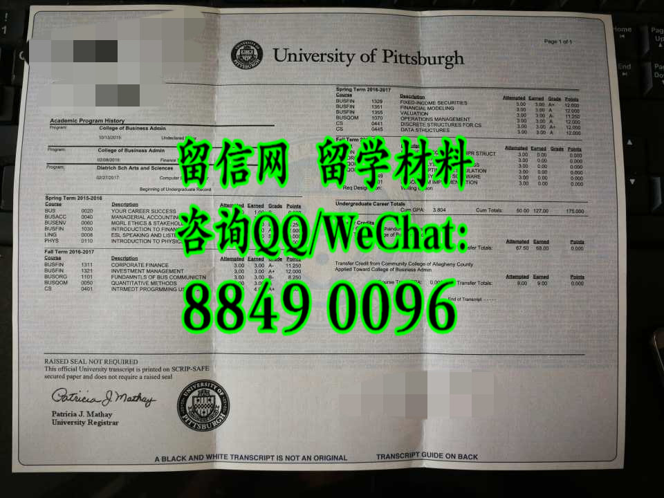 美国匹兹堡大学成绩单，University of Pittsburgh transcript