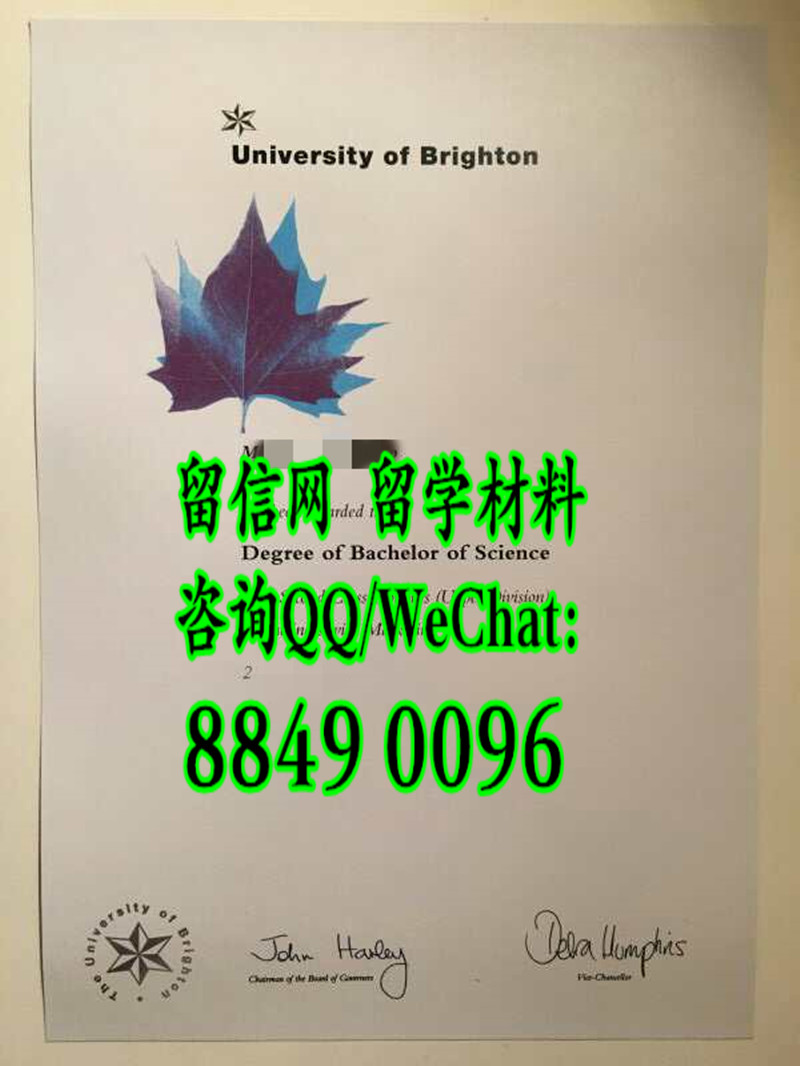 英国布莱顿大学毕业证成绩单案例，University of Brighton diploma degree